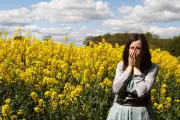 Met Office Issues Week-Long 'Red Alert' for Hay Fever Across UK