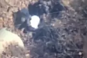 Mexican Cartel Leader Captured While Hiding in a Ditch