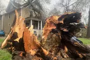 Michigan Storms Wreak Havoc: Ice Arenas Damaged, Campus Disrupted