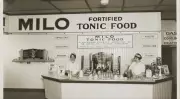 Milo Drink Powder: Its Australian Origins and Health Impact Explored