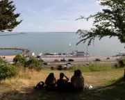 Natural England Halts New Wildlife Site Designations Amid Development Threats