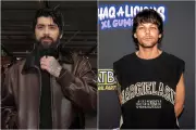 Netflix Director Laments 'Last Year of Work' After Zayn Malik-Louis Tomlinson Altercation
