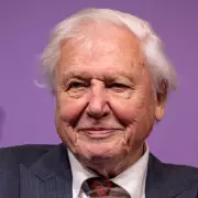 Netflix's New Attenborough Doc Reveals Poignant Gorilla Legacy
