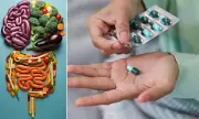 New Antibiotic-Specific Probiotics Hit Shelves: Are They Worth the Cost?