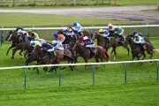Newmarket Guineas Festival Tips: Five Best Bets for Friday's Racing
