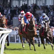 Newsboy's Horse Racing Tips: The Gay Blade and Rosenpur Lead Wednesday Selections