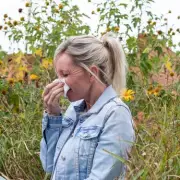 NHS GP Reveals Unusual Hay Fever Remedies Including Vaseline Barrier Trick