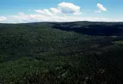 Nova Scotia Woods Ban Ruled Unconstitutional: Judge Sides with Hiker
