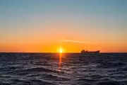 Oil Prices Plummet and Global Markets Rally as Strait of Hormuz Reopens