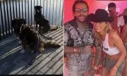 Olivia Attwood and Pete Wicks Enjoy London Dog Walk After St Tropez Getaway