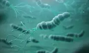 Oral Bacteria Linked to Cancer Risk, Saliva Test Could Revolutionise Screening