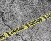 Over 20 Injured as Alleged Drunk Driver Crashes into Louisiana Lao New Year Parade
