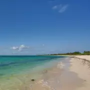 Paradise Beach Voted 'Best of the Best' But Visitors Warned About Bugs