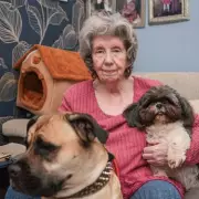 Pensioner Alleges Police Intimidation Over £10 Dispute, Force Apologises