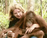 Pioneering Primatologist Biruté Galdikas Dies, Leaving Legacy of Orangutan Conservation