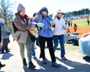 Police Deploy Rubber Bullets and Gas at Wisconsin Beagle Facility Protest