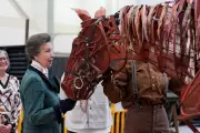 Princess Anne Jokes with War Horse Puppet Joey at National Theatre Visit