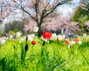 Readers' Best Photographs: A Global Showcase from Kew to Greenland