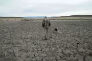Record US Drought Fuels Fears Over Wildfires, Water Shortages and Food Inflation