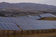 Renewables Surpass Global Electricity Demand, Led by Solar Boom in China and India