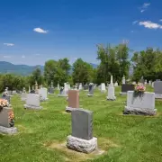 Rescue Team Follows Faint Cries in Cemetery, Discovers Heartbreaking Scene