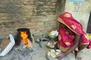 Rising Energy Costs Drive Families Back to Charcoal, Threatening Wildlife