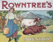 Rowntree Trust Appoints Reparations Head to Confront Colonial Legacy