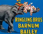 Saturday Quiz Answers: From PT Barnum's Elephant to Boudicca's Burial Sites