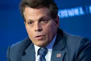 Scaramucci: Trump Will Destroy Careers of Rubio and Vance