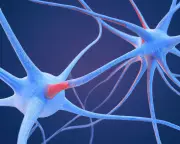 Scientists Discover Unique Neural Fingerprint of Psychedelic Drugs in Brain