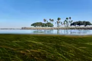 Scientists Use DNA to Combat Climate Change's Rapid Impact on Ecosystems