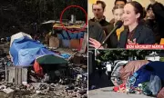 Seattle's Homeless Crisis Deepens as Makeshift Chimney Emerges in Ballard Encampment