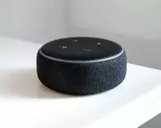 Should We Be Polite to AI Assistants? Readers Debate Digital Etiquette
