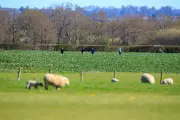 Skydiver Dies in Easter Monday Parachute Failure at Kent Aerodrome