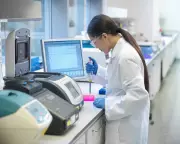Social Science's Replication Crisis: Embracing Uncertainty in Research