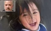 South Carolina Truck Driver Charged with Felony DUI After Fatal Toddler Crash