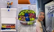South Korea's High-Tech Cleaning Obsession: From Smart Bins to UV Sterilisers