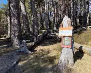 Spring Brings Wildfire Ban in Cairngorms as Dry Conditions Persist