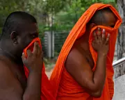 Sri Lanka Arrests 22 Buddhist Monks Over 110kg Cannabis Haul