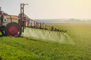 Supreme Court to Rule on Monsanto's Glyphosate Pesticide Labeling Case