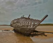 Susannah Dickey's 'Into the Wreck' Offers a Profound Exploration of Grief