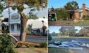 Suspected Tornado Wreaks Havoc in Western Australia's Bunbury