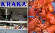 Sydney Seafood Shop's $130k Lobster Heist: 'Kraka Heist' Sees Tonne Stolen