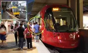 Sydney Train Etiquette Debate: Teacher Sparks Fury Over Queue Jumping