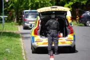 Teenagers Arrested After Alleged Arson Attack at London Synagogue
