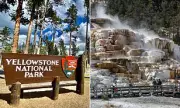 Texas Man Jailed for Yellowstone Hot Springs Thermal Trespass Off Trail