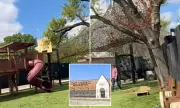 Texas Restaurant Sued Over Jungle Gym on Dying Trees Posing Risk to Children
