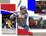 The High Cost of Fandom: How Sports Streaming Became a Maze of Subscriptions