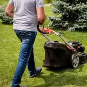 The Optimal Time to Mow Your Lawn for Healthier, Greener Grass