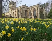 The Quiet Vitality of a Well-Managed Churchyard in Rural England